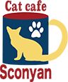 cat cafe Sconyan